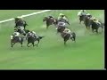 スペシャルウィーク　 g1勝利　全レース