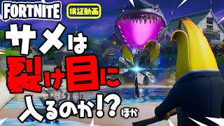 サメは裂け目に入るのか！？ ほか 新要素などイロイロ検証動画 第138弾【フォートナイト Fortnite】