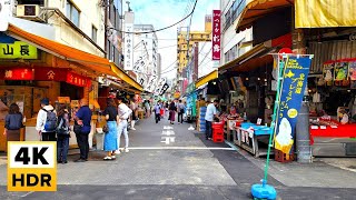 築地場外市場 お昼の散歩 食べ歩き | 東京 street food etc.【4K】