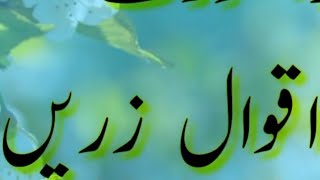 Aqwal e zareen in Urdu | Best Quotes in Hind | Golden words in urdu | Aqwal e zareen