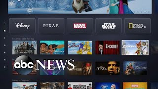 Disney launched its new service, ‘Disney+’