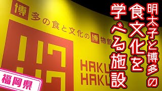 【福岡県】【体験もできる】「博多の食と文化の博物館　ハクハク」で明太子作りを学ぶ