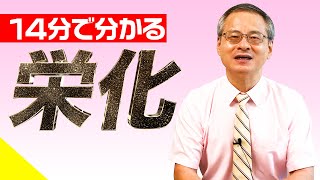 【14分で分かる】栄化とは何か