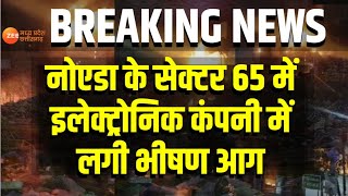 Noida Breaking: नोएडा के सेक्टर 65 में Electronic Companyमें लगी भीषण आग | Breaking News | Zee MPCG