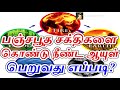 பஞ்சபூத சக்திகளை கொண்டு நீண்ட ஆயுள் பெறுவது எப்படி sattaimuni nathar