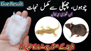 Get rid of rats, Mosquito, cockroach, lizard with homemade spray|powerful insects killer remedy🙄