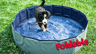 Get your puppy used to water with this Foldable Pool