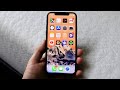 Apple Lied About The iPhone X!?