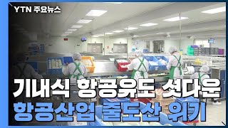 기내식·항공유도 '셧다운'...항공 산업 줄도산 위기 / YTN