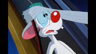 Pinky and the Brain - Pinky is Forced to Watch Sad Stuff