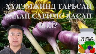 Хүлэмжинд тарьсан улаан саримс яасан бол?   HD 720p