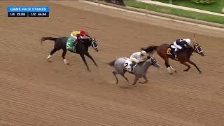 2026 $100,000 Game Face Stakes Gulfstream Park