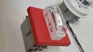 Wheelock RS-241575-VFR Strobe Fire Alarm Test