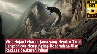 Hujan Lebat  dan Mengungkap Keberadaan Ular Raksasa Seukuran Pohon