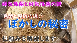 理屈では語れないぼかし肥料の不思議を解説！ 好気性菌で嫌気背発酵ができるのか？結論はこれ！