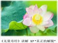 醍醐老师 讲解《无量寿经》 17 “真正的解脱”