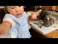 指導に対して『痛い』と主張するようになった娘に困惑する猫　ノルウェージャン　a daughter and a cat spending their usual saturday days