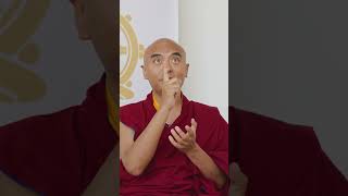 "You can meditate Anytime Anywhere" - Mingyur Rinpoche