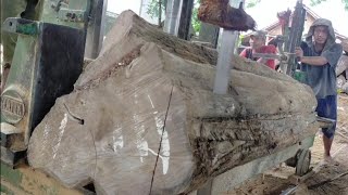 Sawmill.Kacau🤦Biasa belah log besar,belah log kecil rewel kayu Jati TPK Blora Indonesian Teak Sawing