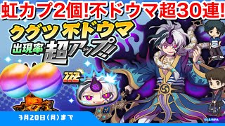 虹カプ2回！クグツ 不ドウマ 超アップガシャ30連！クグツ アキノテラス 妖魔人イベント【妖怪ウォッチぷにぷに】傀不 お松 超覚醒スシジバ 天コマ Yo-Kai Watch masa シャドウサイド