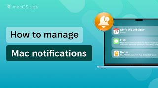 You’ve Been Using Mac Notifications Wrong