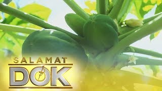 Salamat Dok: Health benefits of Papaya
