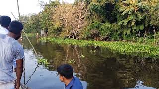 চিকনাই নদী, মূলগ্ৰম, চাটমোহর, পাবনা জেলার নৌকা বাইচ।