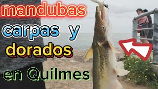 LINDA PESCA VARIADAS EN QUILMES NO TE LO PIERDAS