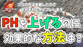 色々な方法でPHアップを試みた！〜３つの方法を検証してみた〜【レッドビーシュリンプ】