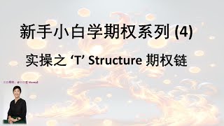 新手小白学期权系列 (4) 实操之 ‘T’ Structure 期权链