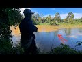 Mancing ikan baung guna joran udang | umpan usus ayam #wms-341