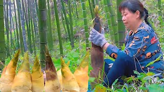 Bamboo shoots are best fresh. Drying bamboo to keep spring flavor until winter.