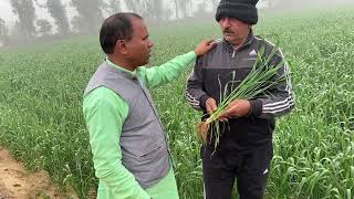 TCBT पंचतत्व बीज, जैव रसायन, भस्म रसायन उपयोग करके पहली बार में ही बनाया कीर्तिमान | #tcbt #गुरुजी