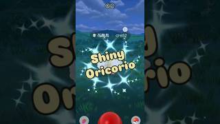 #shorts #pokemongo #pokemon #pokemongoapp #shinypokemon #shiny #oricorio #寶可夢 #色違 #可愛 #ポケモン #異色 #花舞鳥