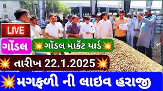 નવી મગફળી ના બજાર ભાવ /આજના મગફળી ના બજાર ભાવ /મગફળી ના બજાર ભાવ /22.1.2025