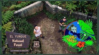 Explorando El Yunque National Forest de Puerto Rico🇵🇷🌴😍