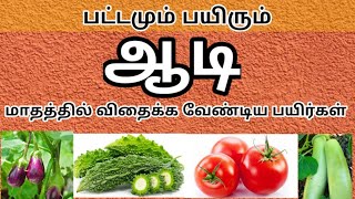 ஆடி பட்டம் ஆரம்பம் || இந்த ஆடி பட்டத்தில் என்னன்ன விதைக்கலாம்?