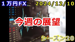 【１万円FX】今週の展望（２０２４年１２月１０日 朝の相場分析 ）