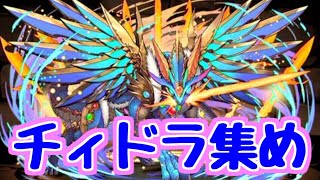 【生放送】チィリンドラゴンを集める 裏三針周回【パズドラ】