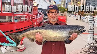 Big Chicago King Salmon Fishing 2022