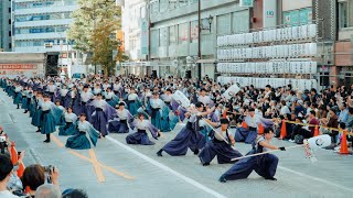 早稲田大学よさこいチーム東京花火 『天つかさ』 第25回 東京よさこい 本祭 アゼリア通り