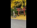 岩戸落葉神社の様子2020 11 15