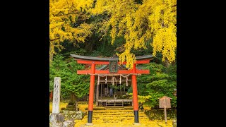 岩戸落葉神社の様子2020/11/15