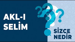 Akl-ı Selim - Sizce Nedir?