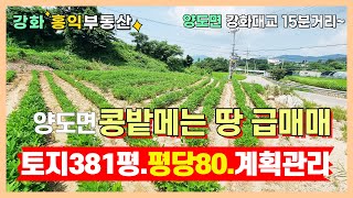 강화도토지매매 양도면토지 계획관리토지 원지토지매매