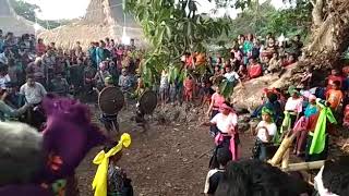 tarian adat sumba barat daya pesta woleka