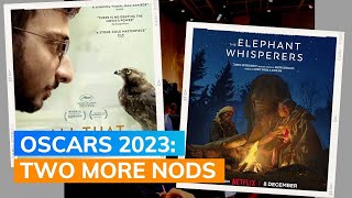 Oscars 2023 Nominations: ‘All That Breathes’ And ‘The Elephant Whisperers’ Earn Nomination