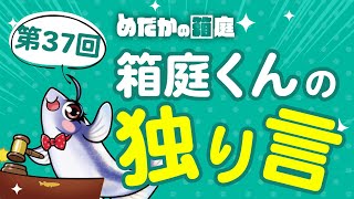 めだかの箱庭 第37回箱庭くんの独り言