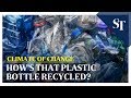 How's that plastic bottle recycled? | The Straits Times