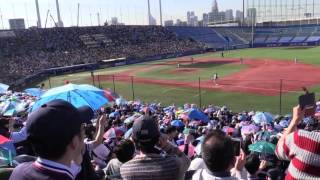 東京音頭　東京ヤクルトスワローズ　2016年3月17日神宮球場オープン戦　vs阪神